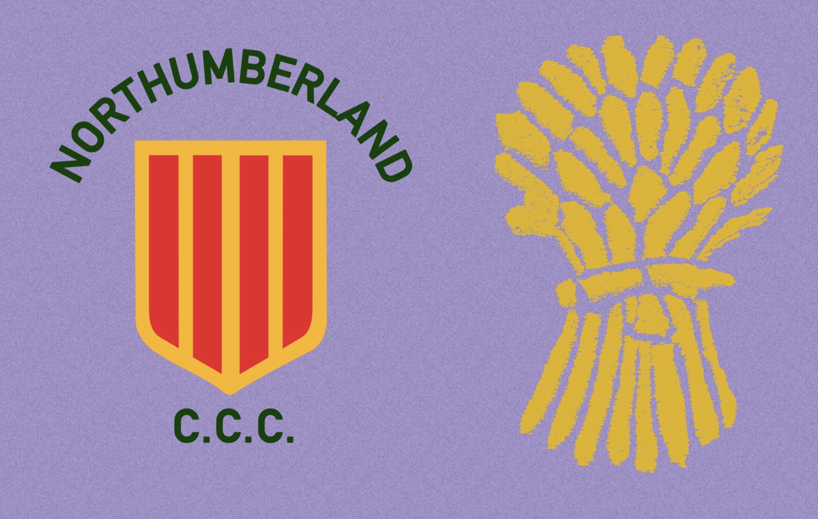 Northumberland CCC v Cheshire CCC - Team News