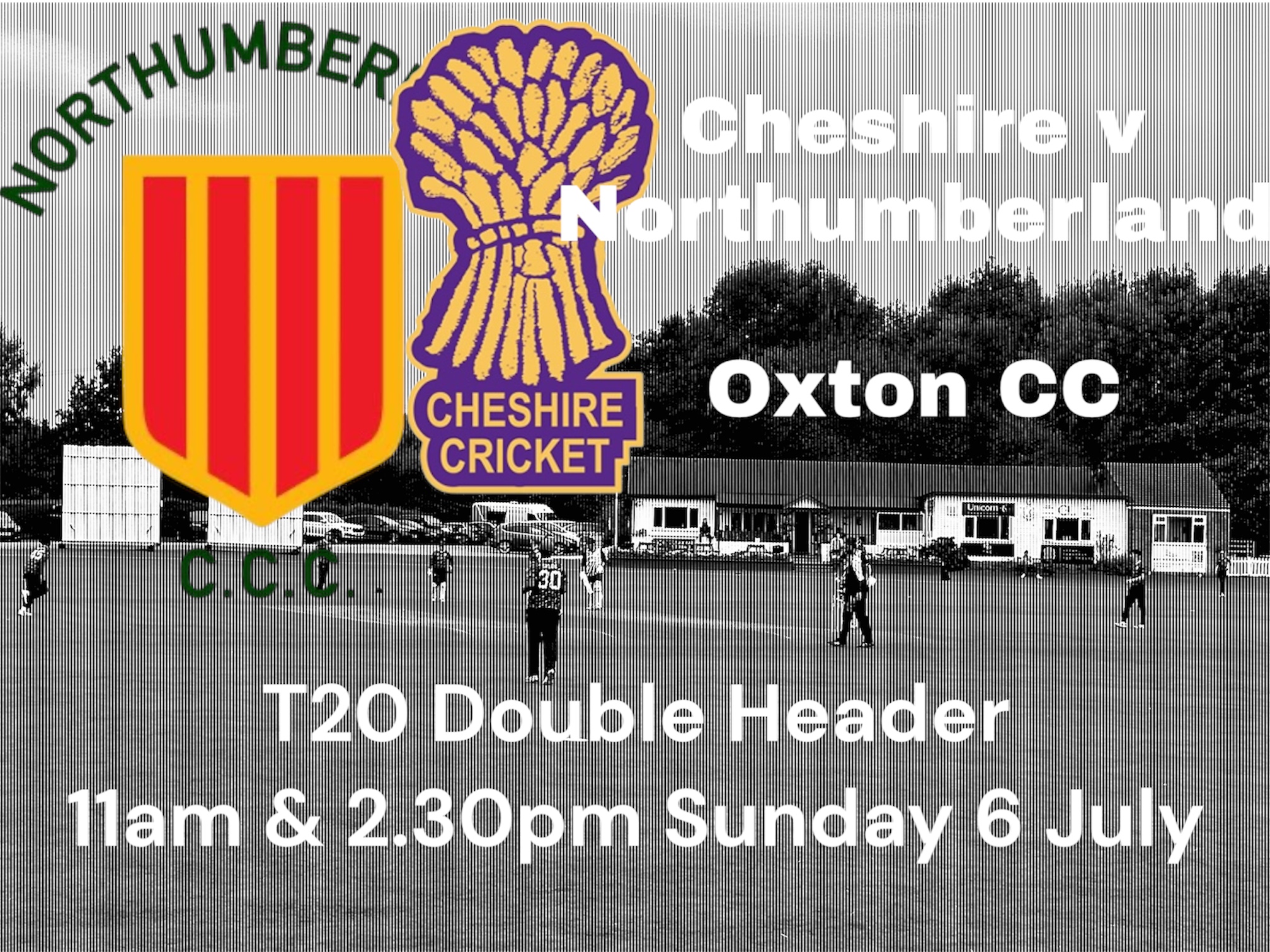 T20 Double Header at Oxton - Sunday 6 July