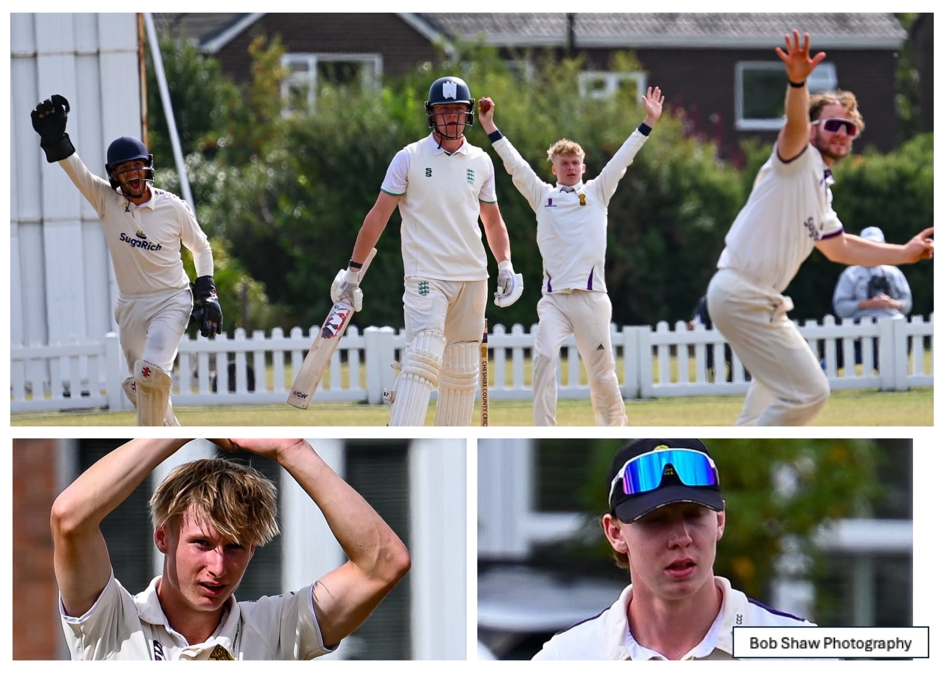 Dorset draw sees third place finish as Wiltshire take title